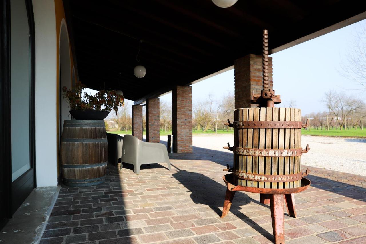 Agriturismo Borgo Borromeo Рубано Экстерьер фото